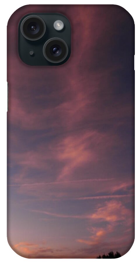 Pink iPhone Case featuring the photograph Pink Swirls Of Beauty by Kim Galluzzo