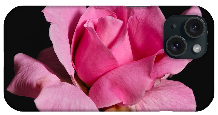 Rose iPhone Case featuring the photograph Pink Tea Rose by Gary Dean Mercer Clark