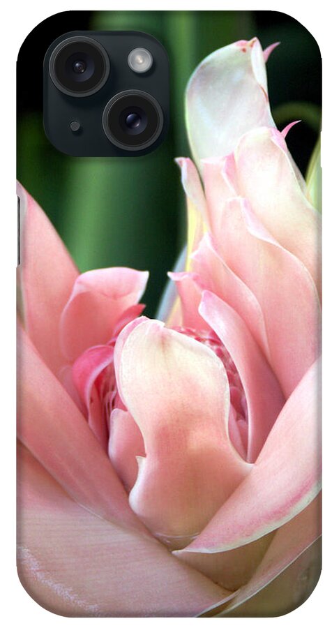 Torch Ginger iPhone Case featuring the photograph Pink Torch Ginger by Jocelyn Kahawai