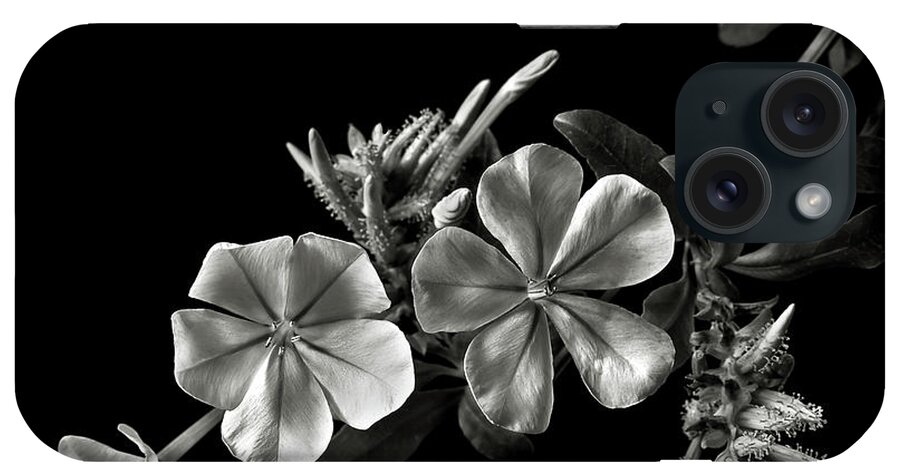 Flower iPhone Case featuring the photograph Plumbago in Black and White by Endre Balogh