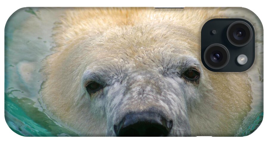 Zoo iPhone Case featuring the photograph Polar Bear Swim by David Rucker