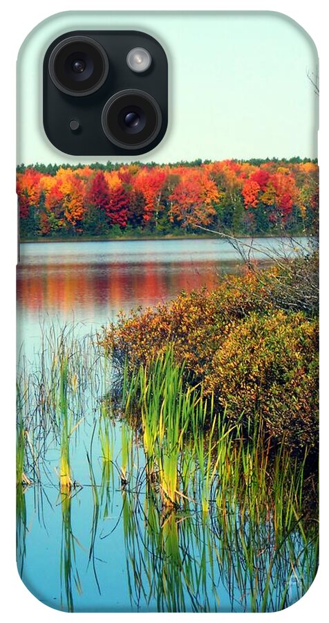 Pure Michigan iPhone Case featuring the photograph Pond in the Woods in Autumn by Desiree Paquette