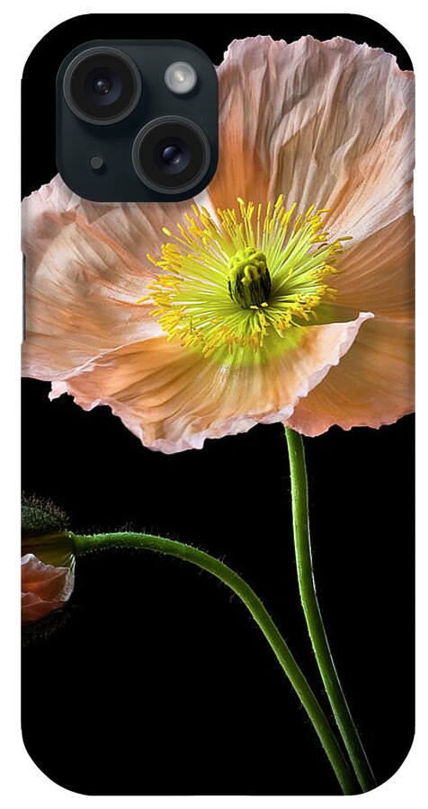 Flower iPhone Case featuring the photograph Poppy by Endre Balogh