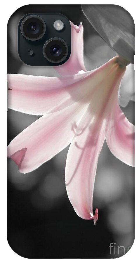 Flowers iPhone Case featuring the photograph Pretty Pink Blossom by Paul Topp