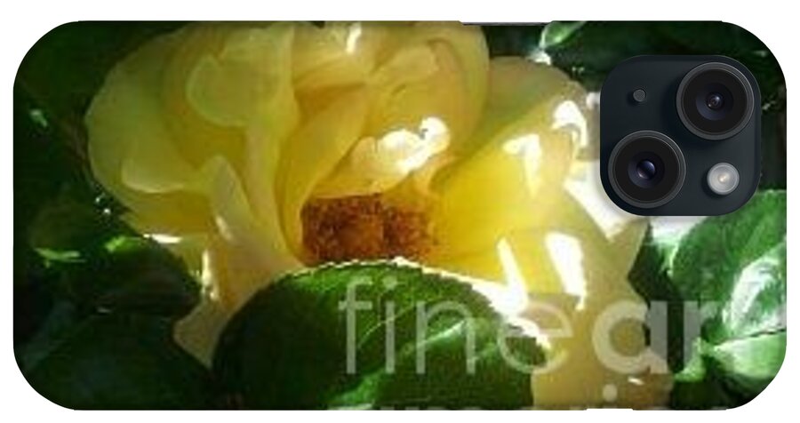 Yellow Rose iPhone Case featuring the photograph Pretty Shy by Yenni Harrison