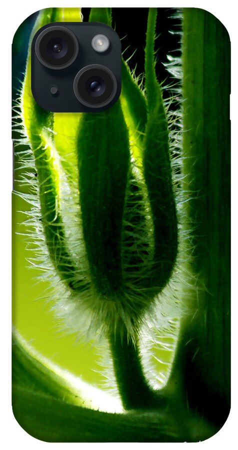 Bokeh iPhone Case featuring the photograph Prickly Affairs by Carol F Austin
