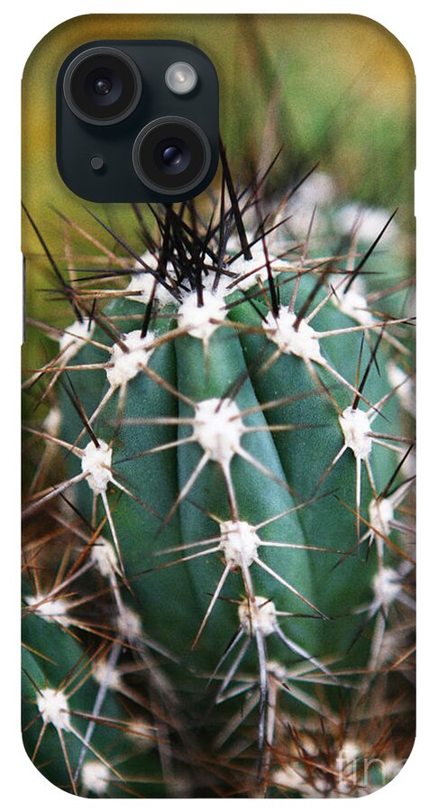Cactus iPhone Case featuring the photograph Prickly by Leslie Leda