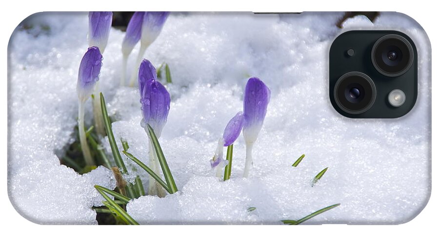 Photography iPhone Case featuring the photograph Promise of Spring by Sean Griffin