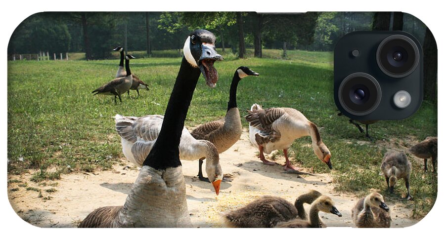 Canadian iPhone Case featuring the photograph Protective Mad Mama Canadian Goose by Kathy Clark