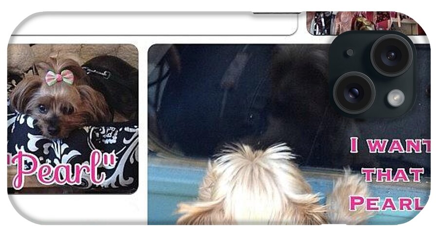 Yorkshireterrier iPhone Case featuring the photograph #puppylove #angus #yorkie by Designs by Rhonda