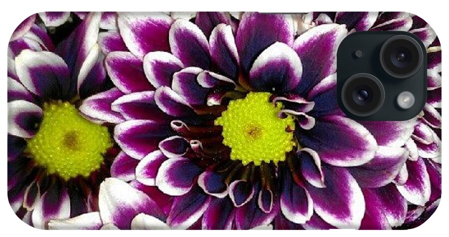 Art iPhone Case featuring the photograph Purple And White Delight by Percy Bohannon