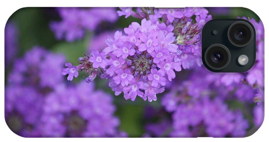 Purple iPhone Case featuring the photograph Purple Bloom by Patrick Witz