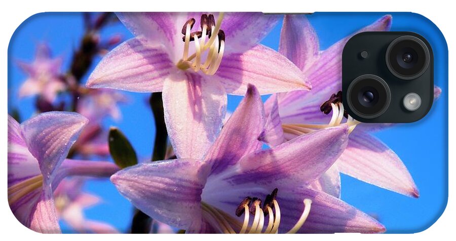 Purple iPhone Case featuring the photograph Purple Hosta Blooms by Davandra Cribbie