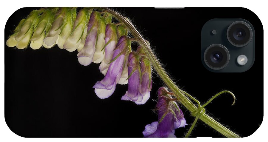 Purple Vetch iPhone Case featuring the photograph Purple Vetch by Art Whitton