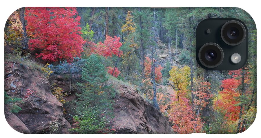 Sedona iPhone Case featuring the photograph Rainbow of the Season by Heather Kirk