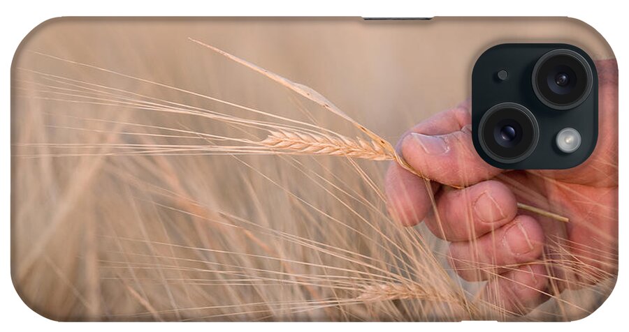 Agriculture iPhone Case featuring the photograph Ready to Harvest by Cindy Singleton