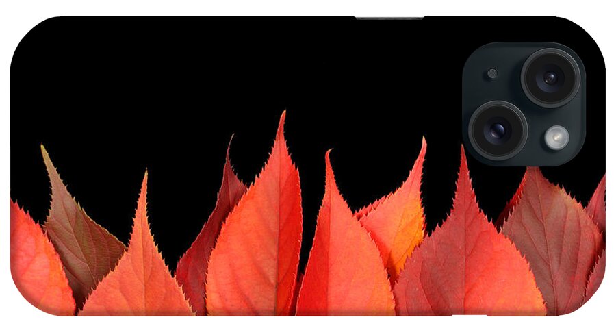 Flames iPhone Case featuring the photograph Red autumn leaves on edge by Simon Bratt