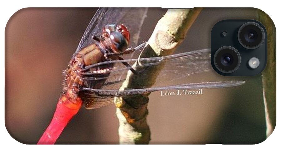  iPhone Case featuring the photograph Red Butt Dragonfly by Leon Traazil