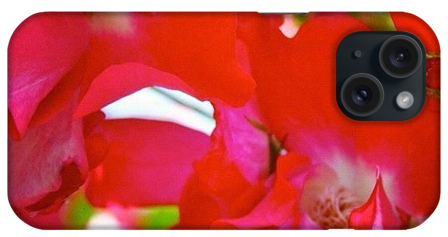 Floralstyles_gf iPhone Case featuring the photograph #red #climbing_roses #flowers #roses by Anna Porter