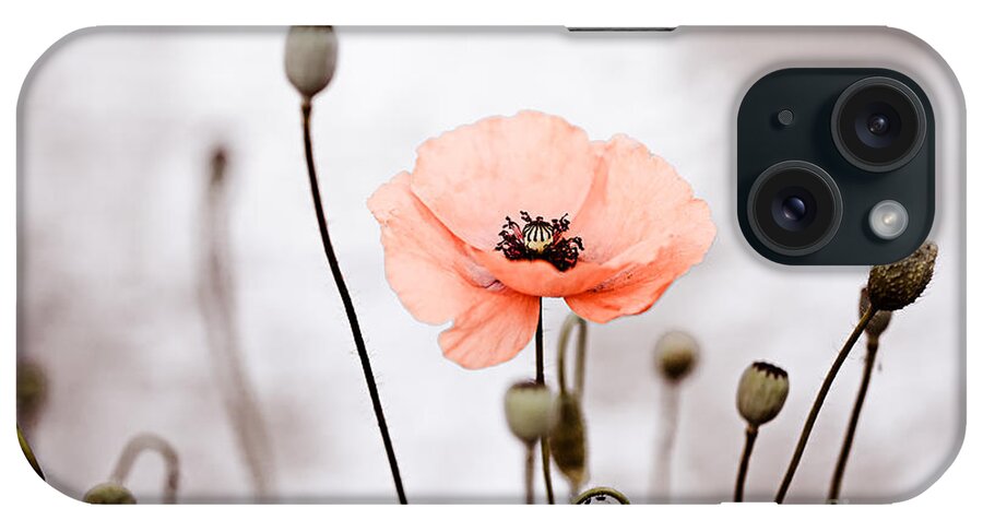 Poppy iPhone Case featuring the photograph Red Corn Poppy Flowers 01 by Nailia Schwarz