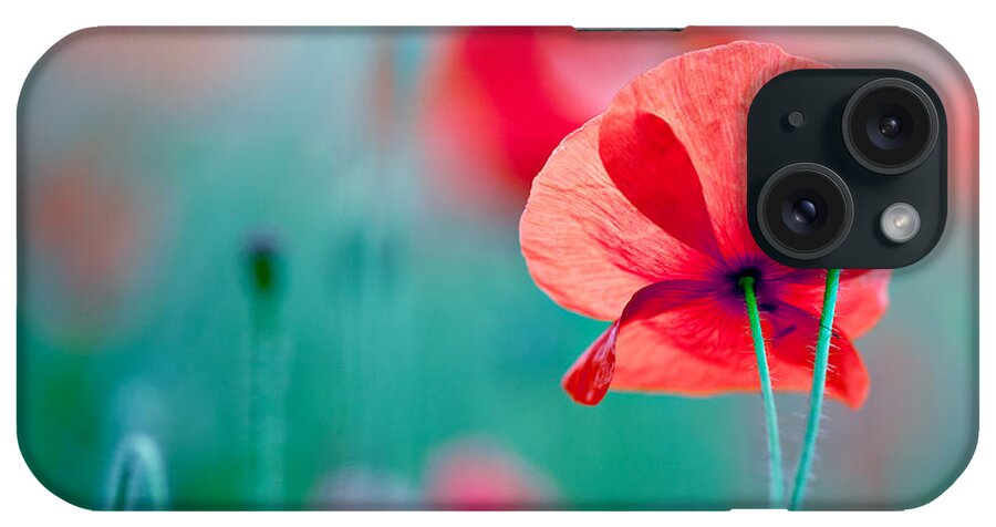 Poppy iPhone Case featuring the photograph Red Corn Poppy Flowers 04 by Nailia Schwarz