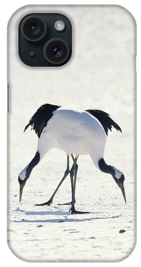 00190793 iPhone Case featuring the photograph Red-crowned Crane Pair by Konrad Wothe
