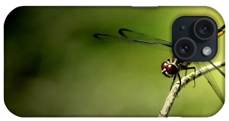 Dragonfly iPhone Case featuring the photograph Red Dragon 2 by David Weeks