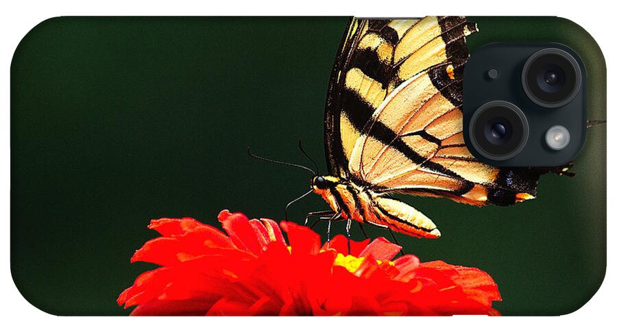 Bug iPhone Case featuring the photograph Red Flower and Butterfly by Nick Zelinsky Jr