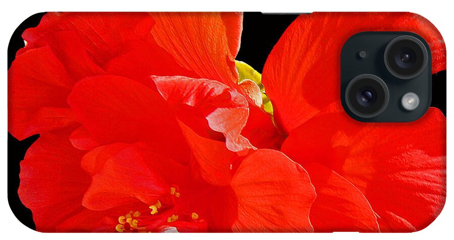Flower iPhone Case featuring the photograph Red Hibiscus by Cindy Manero
