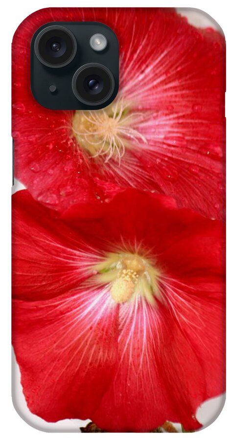 Red Hollyhocks iPhone Case featuring the photograph Red Hollyhocks by Donna Walsh