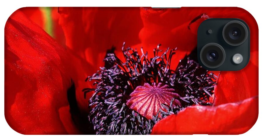 Flora iPhone Case featuring the photograph Red Poppy Close Up by Bruce Bley