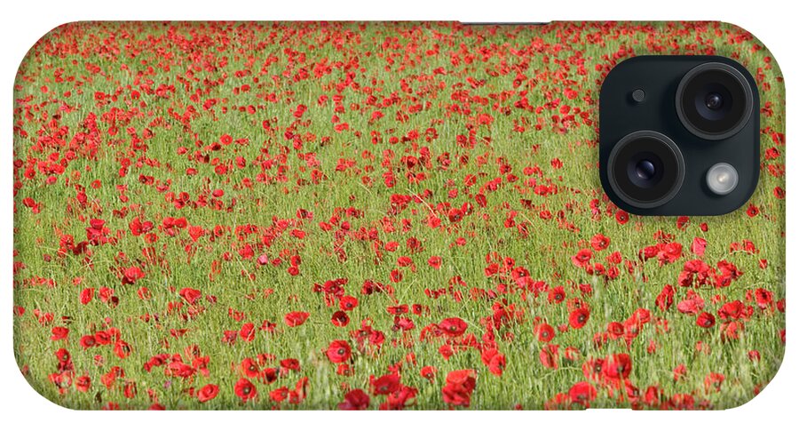 Mp iPhone Case featuring the photograph Red Poppy Papaver Rhoeas In A Cereal by Cyril Ruoso