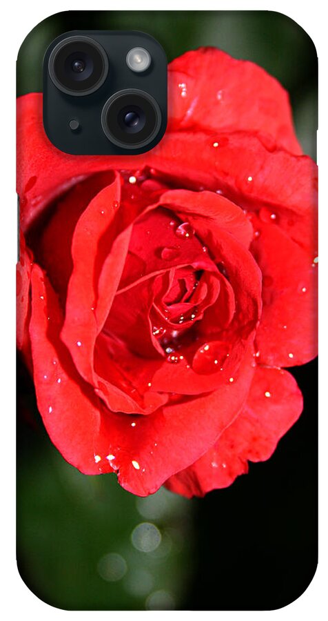 Drop iPhone Case featuring the photograph Red rose with rain drops by Emanuel Tanjala