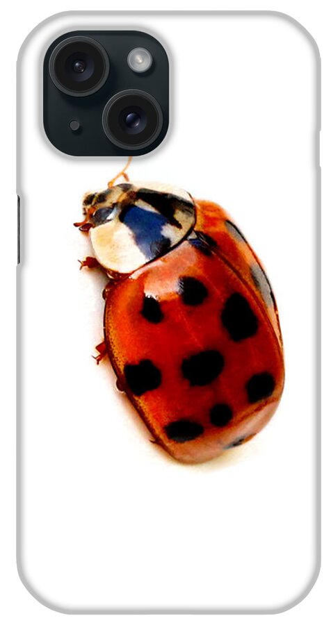 Ladybug iPhone Case featuring the photograph Red Spotted Ladbug White Background by Tracie Schiebel