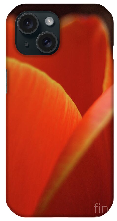 Flower iPhone Case featuring the photograph Red Tulip by Jeannette Hunt