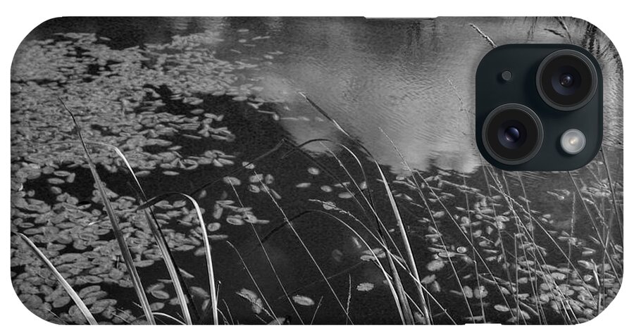 Water iPhone Case featuring the photograph Reflections in the Pond by Kathleen Grace