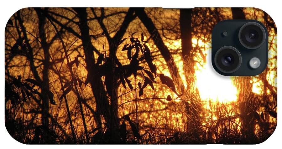 Landscape iPhone Case featuring the photograph Ribbons of Light II by Amy Tyler