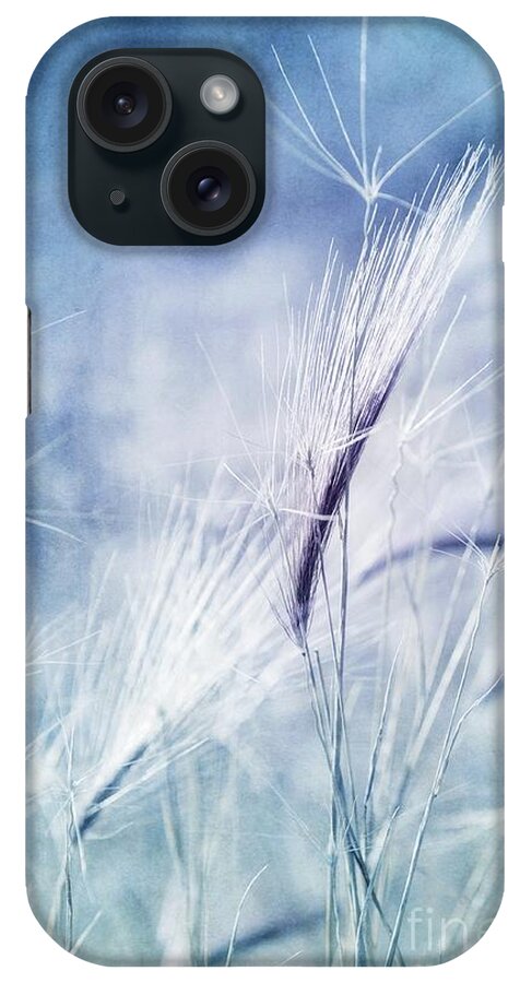 Plant iPhone Case featuring the photograph Roadside Blues by Priska Wettstein