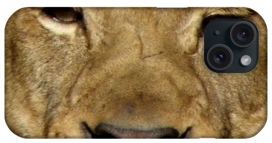 Lion iPhone Case featuring the photograph Roar by Kim Galluzzo