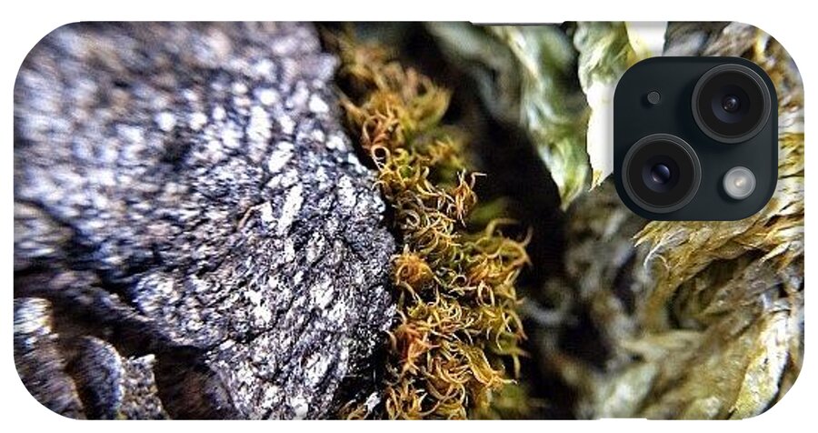Macrogardener iPhone Case featuring the photograph Rock 'n Moss by Natasha Marco