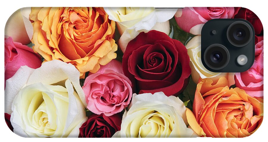 Roses iPhone Case featuring the photograph Rose blossoms 2 by Elena Elisseeva