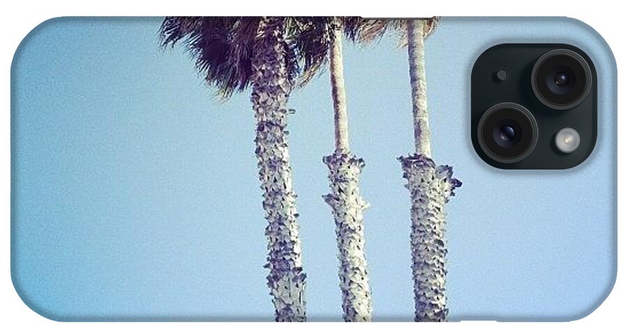 Santa Monica iPhone Case featuring the photograph Santa Monica Palm Trees by Cortney Herron