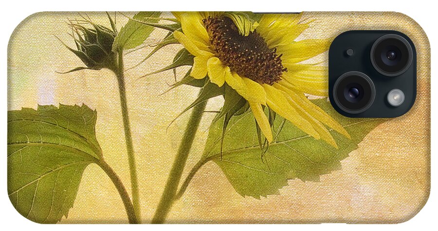 Sunflower iPhone Case featuring the photograph Saying Goodbye to Summer by Rebecca Cozart
