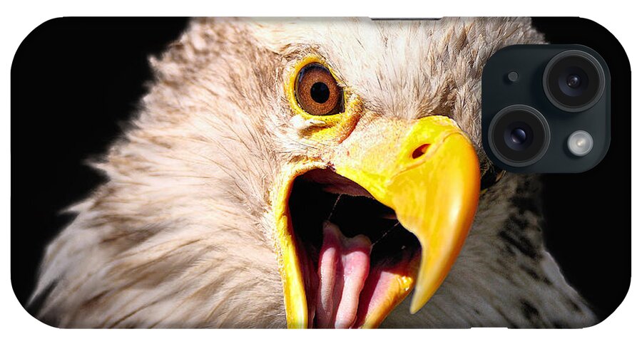  iPhone Case featuring the photograph Screaming Eagle II Black by Bill Dodsworth