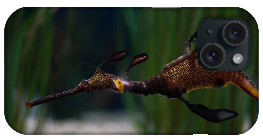 Aquarium iPhone Case featuring the digital art Sea Dragons by Carol Ailles