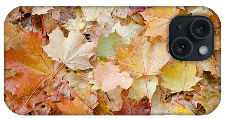 Leaves iPhone Case featuring the photograph Sea of Leaves by Margaret Pitcher