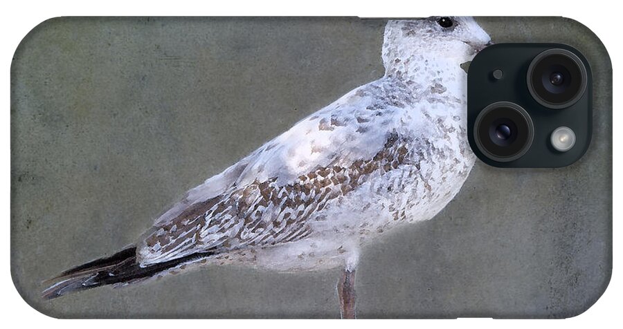 Seagull iPhone Case featuring the photograph Seagull by Betty LaRue