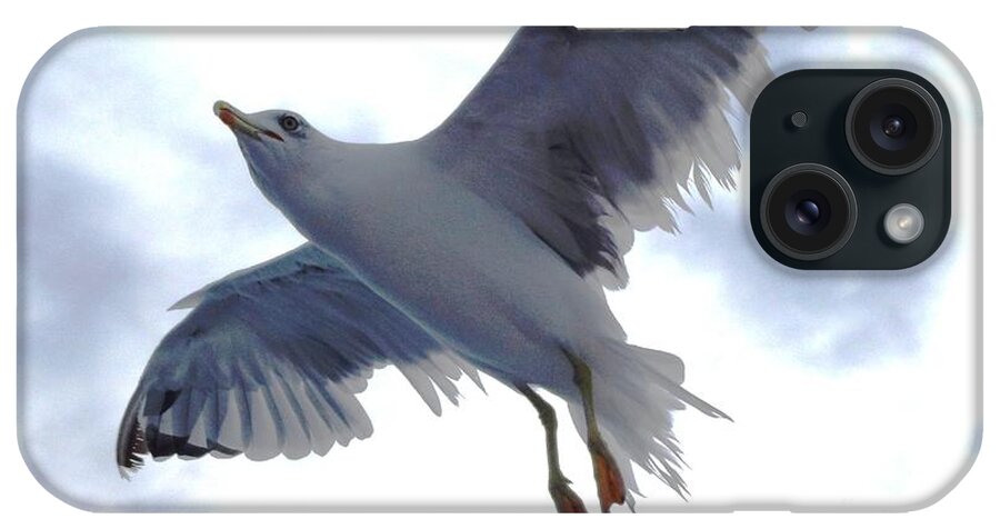 Seagull iPhone Case featuring the photograph Seagull over Adriatic Sea 2 by Amalia Suruceanu