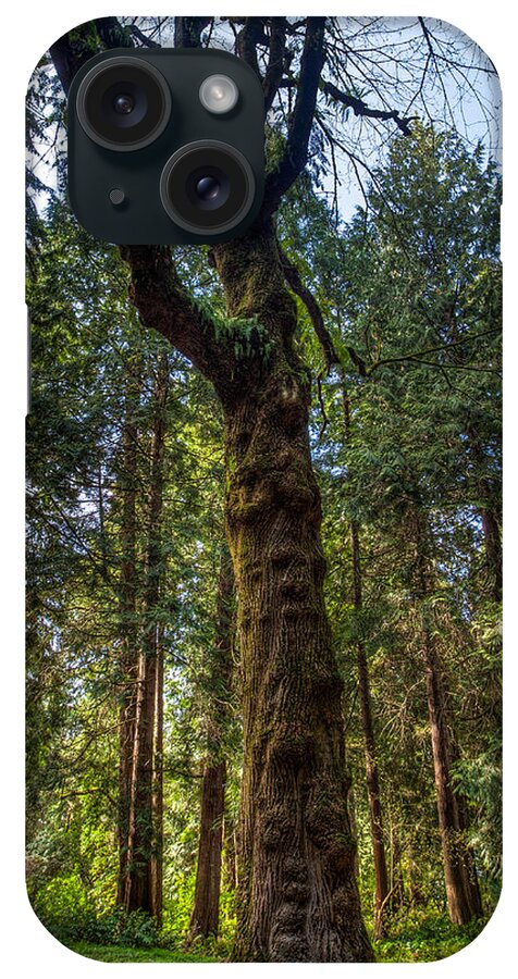 Tf-photography.com iPhone Case featuring the photograph Seattle Arboretum by Tommy Farnsworth
