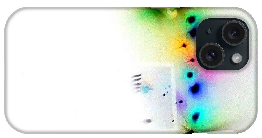See iPhone Case featuring the photograph See No Speak No Hear No by Ann Miles